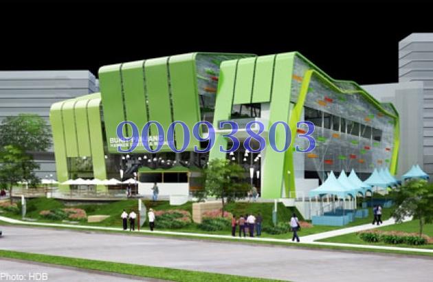 Blk 138 Petir Road (Bukit Panjang), HDB Executive #83662562
